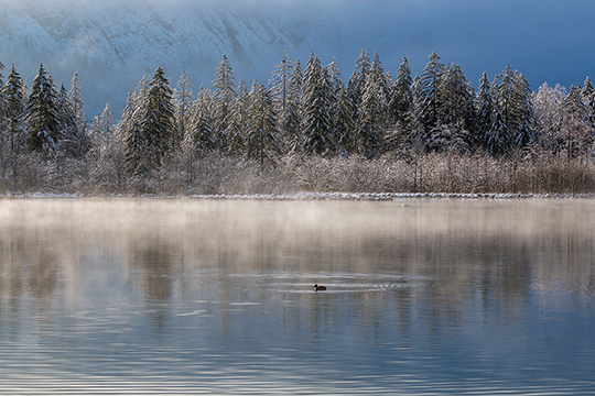 Zarter Morgennebel über dem Almsee