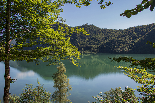 Der Almsee strahlt in Türkis