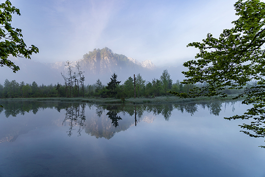 Blick auf den Ameisstein im Morgennebel