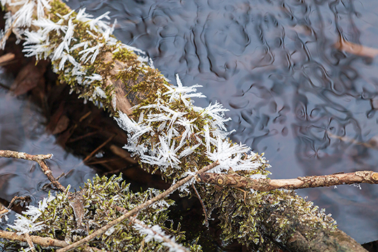Eiskristalle im Almsee