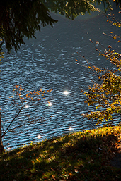 Sonnenlicht spiegelt sich im See