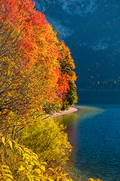 Bunte Farben im Herbst am See