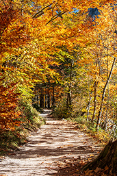 Im bunten Herbstkleid am See
