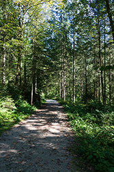 Ein leichter Weg um den See