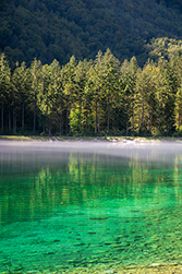 Feiner Nebel liegt am See