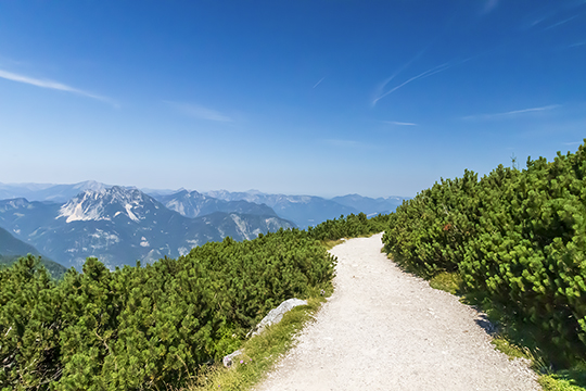 Der Weg zu den five fingers