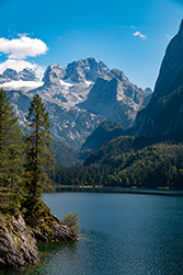 Viel Wald ist um den See