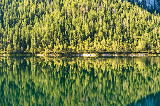 Spiegelung im Gosausee