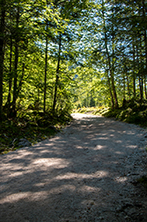 Der Weg zum hinteren See ist beschwerlich