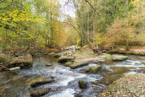 Feldaist bei Pregarten