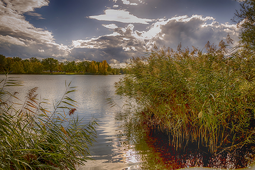 Pichlingersee im Abendlicht