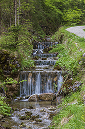 Am Weg zum vorderen Signalkogel