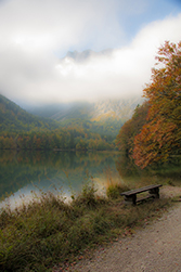 Herbstimpression am See