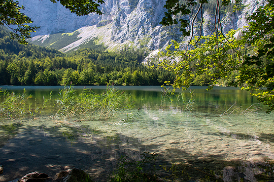 Licht und Schatten am See