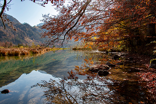 Herbstliche Farben am Offensee