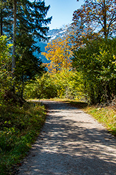 Ein Rundweg führt um den Offensee