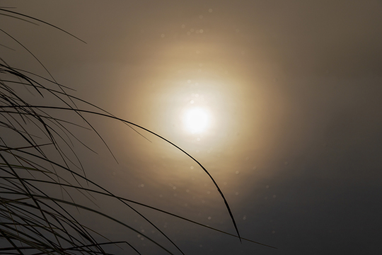 Die Sonne durchdringt den Nebel und reflektiert im See