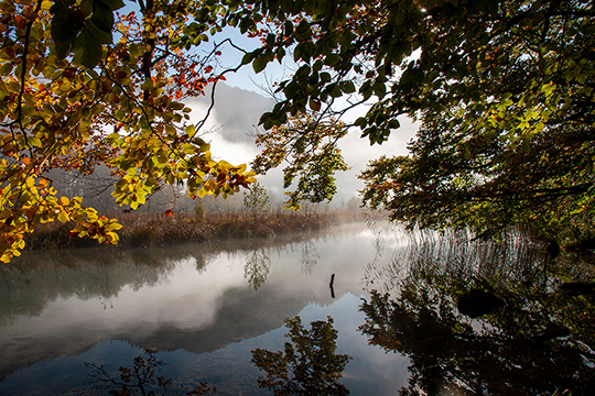 Nebel liegt am frühen Morgen über dem See