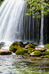 Wasser als treibende Kraft