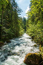 Die Pissling, ein wildes Wasser