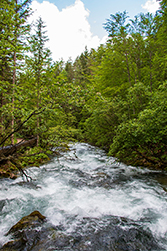 Mit viel Radau bahnt sich der Fluss seinen Weg
