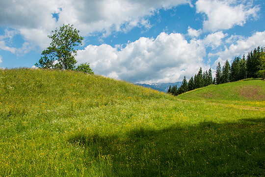 Sanfte Hügel auf dem Weg zum Gleinkersee