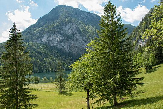 Der Gleinkersee im Hintergrund