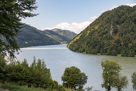 Die Donau in der Schlinge