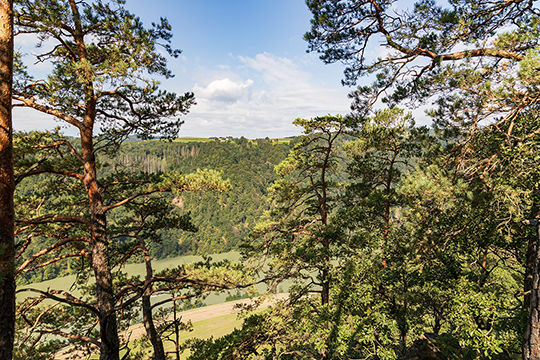 Blick von oben auf die Donau