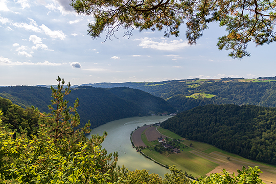 Blick vom Steinernen Felsen Richtung Donau