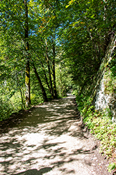 Licht-Schatten Spiel am Weg