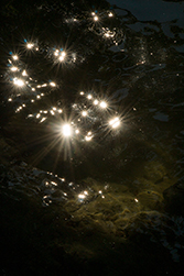 Die Sonne reflektiert im See