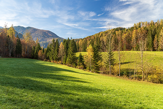Landschaft im Abendlicht