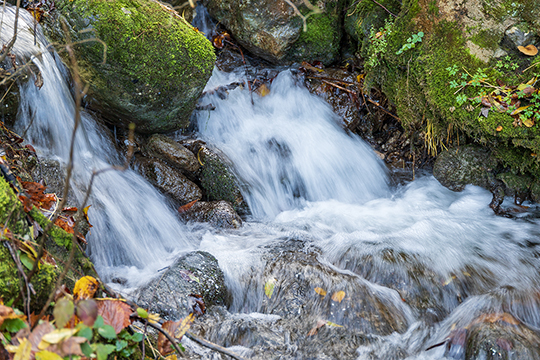 Wildbach auf dem Weg