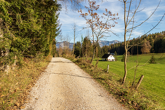 Auf dem Weg zum Schafferteich