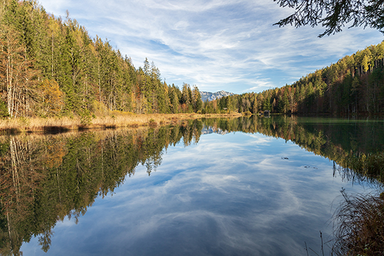Ein Blick über den Schafferteich