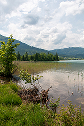 Ein Blick auf die Südseite des Sees
