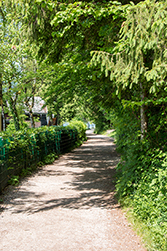 Auf dem Weg zu den Seerosen