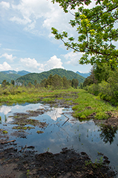 Am Blinklinkmoos tut sich eine andere Welt auf