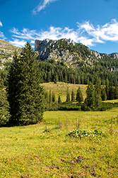 Satte Wiesen auf der Wurzeralm