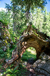 Ein ganz natürlicher Durchgang