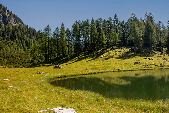Der Brunnsteinersee, klein aber fein